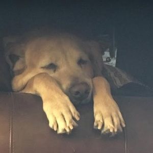 Meet your Posher, John